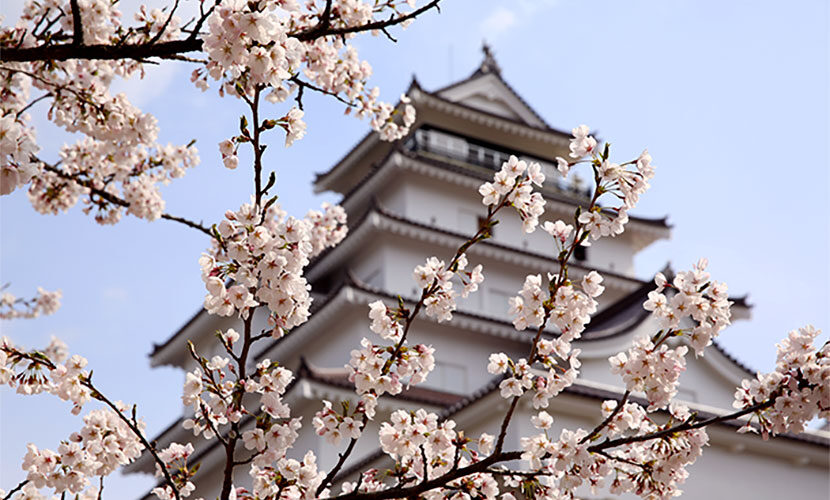 会津若松城 鶴ケ城 の桜 福島県福島市の結婚相談所 アエルふくしま